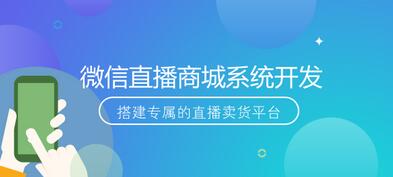 直播商城系统怎么开发？有哪些直播商城系统开发方法